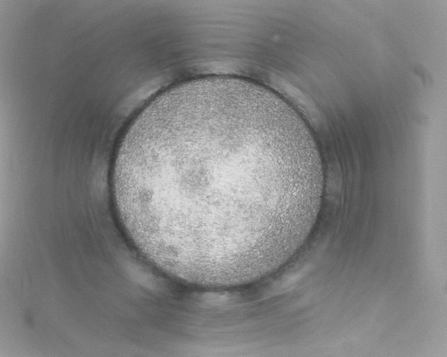 X0000115420394200911241352