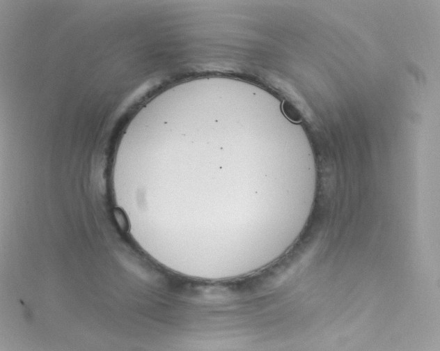 X0000115420395200911241352