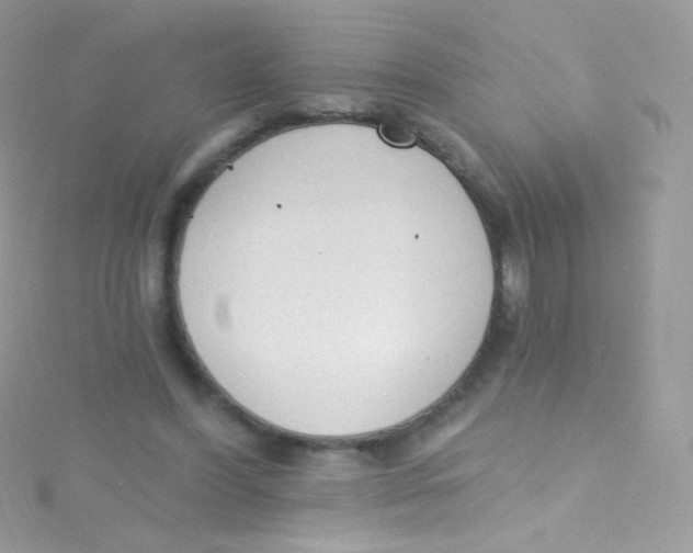 X0000115420396200911241352