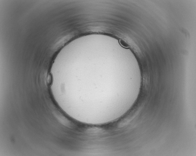 X0000115420397200911241352