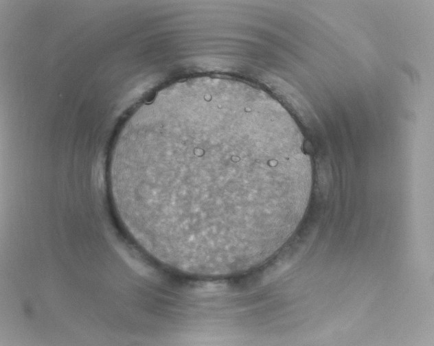 X0000115420398200911241352