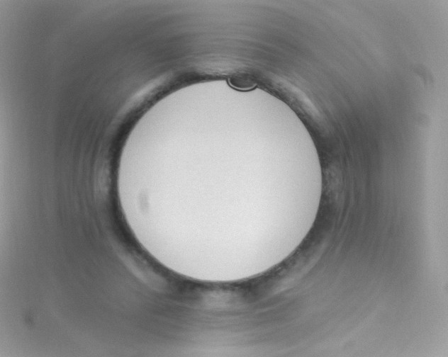 X0000115420400200911241352