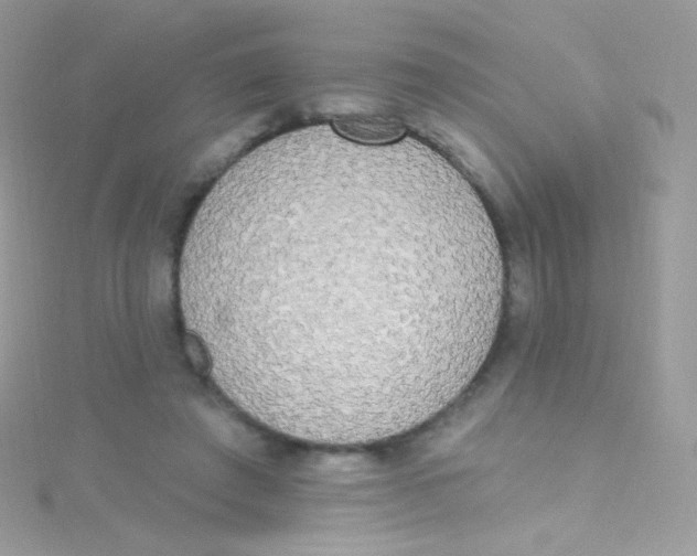 X0000115420401200911241352