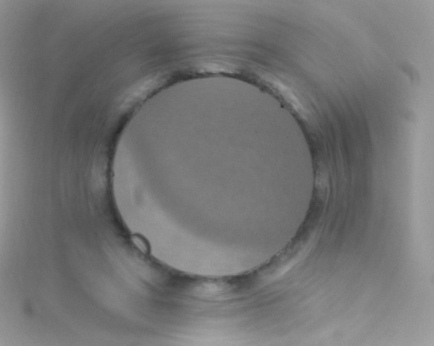 X0000115420402200911241352