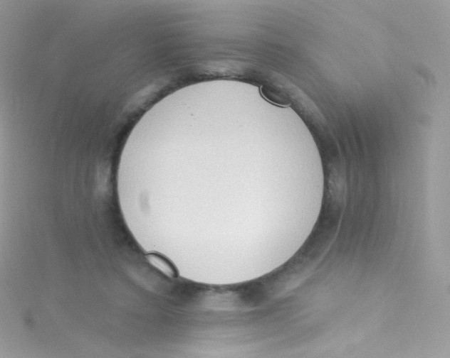 X0000115420403200911241352