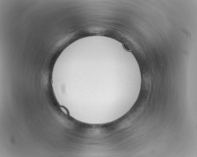 X0000115420404200911241352