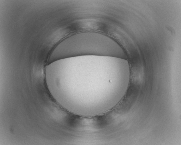 X0000115420405200911241352