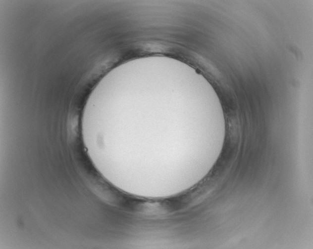 X0000115420406200911241352