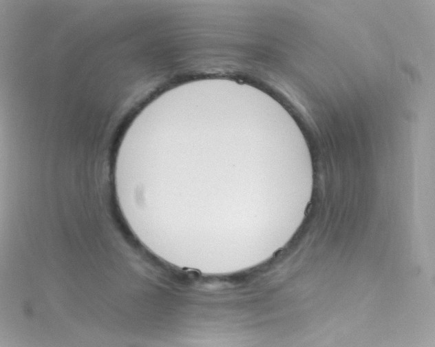 X0000115420407200911241352