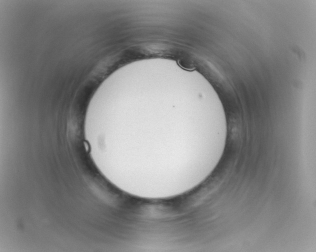 X0000115420408200911241352