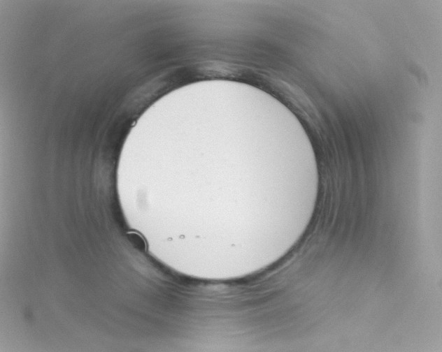 X0000115420409200911241352