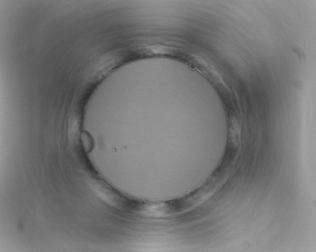 X0000115420410200911241352