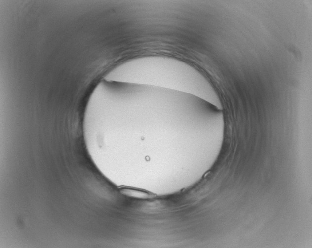 X0000115420411200911241352