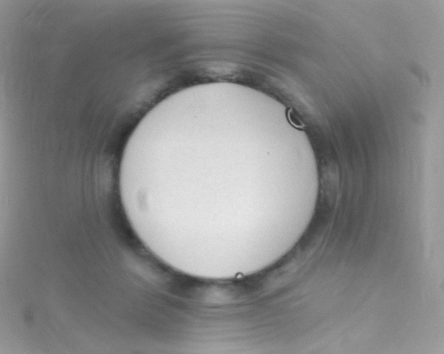 X0000115420412200911241352