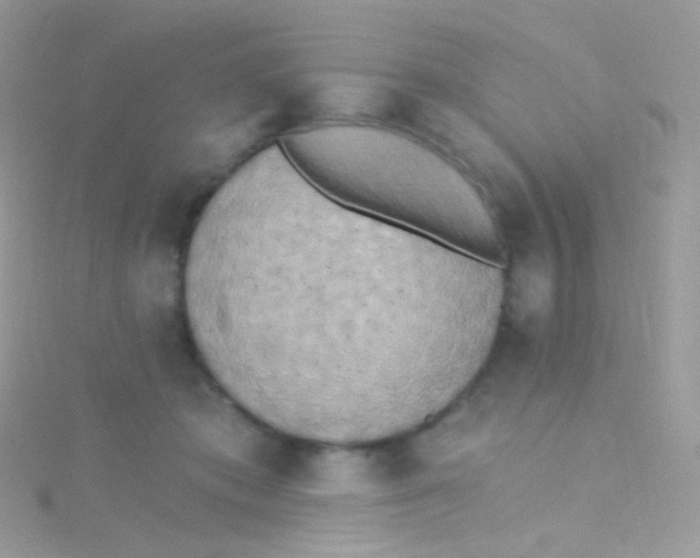 X0000115420413200911241352