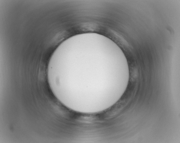 X0000115420414200911241352