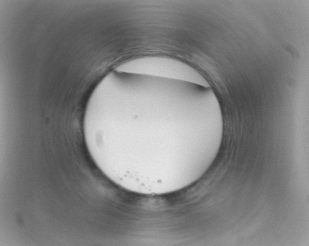 X0000115420415200911241352