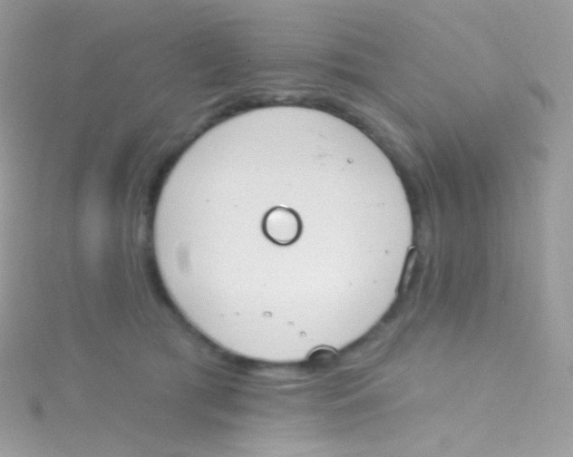 X0000115420417200911241352