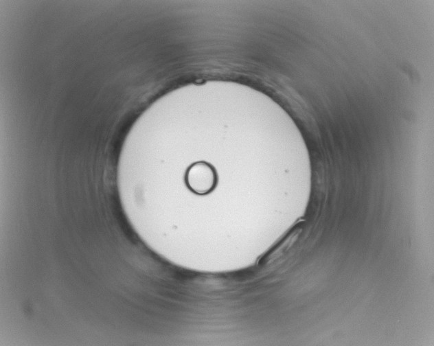 X0000115420419200911241352