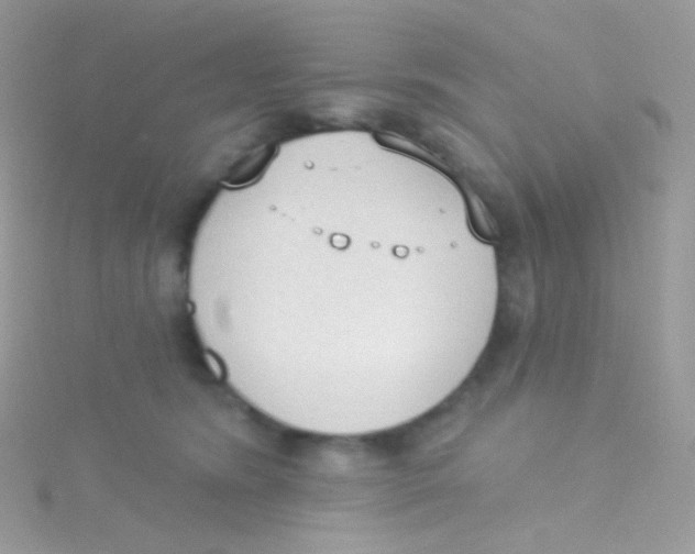 X0000115420420200911241352