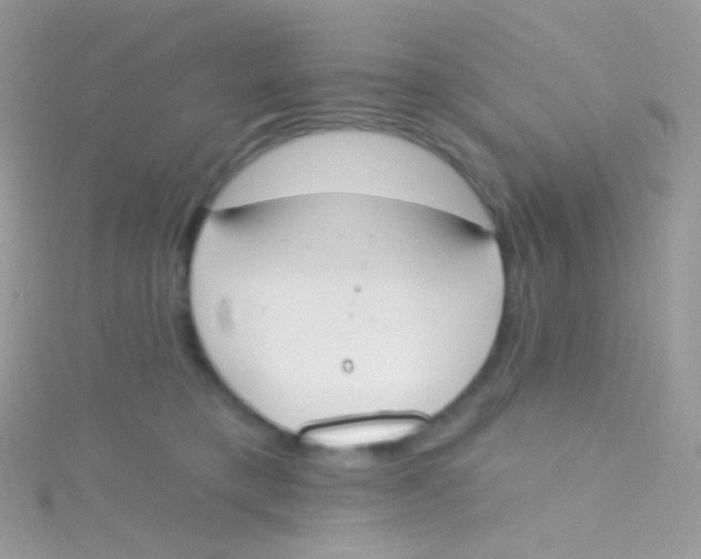 X0000115420421200911241352