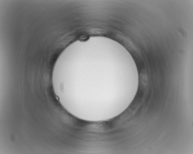 X0000115420422200911241352