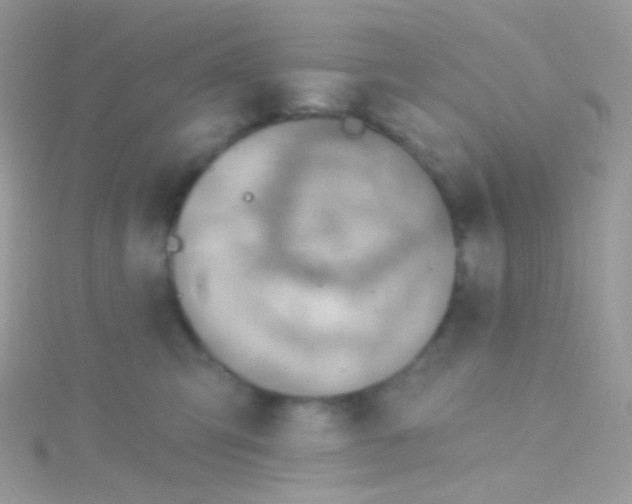 X0000115420423200911241352