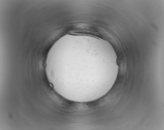 X0000115420424200911241352