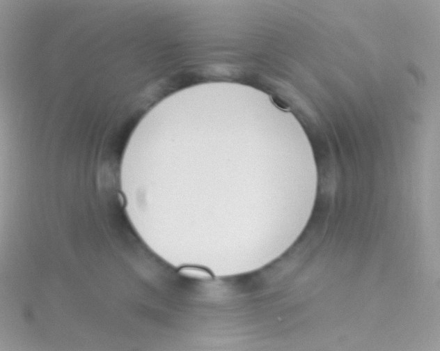 X0000115420425200911241352