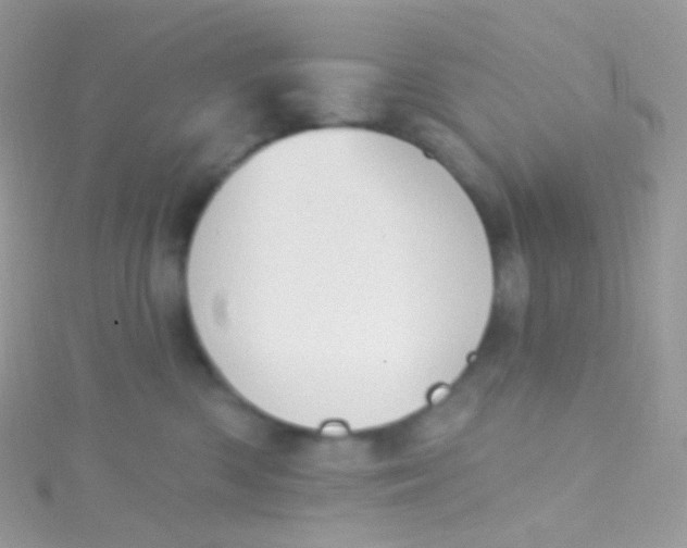 X0000115420426200911241352