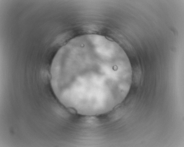 X0000115420427200911241352