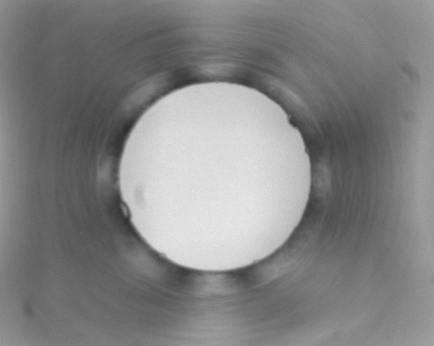 X0000115420428200911241352