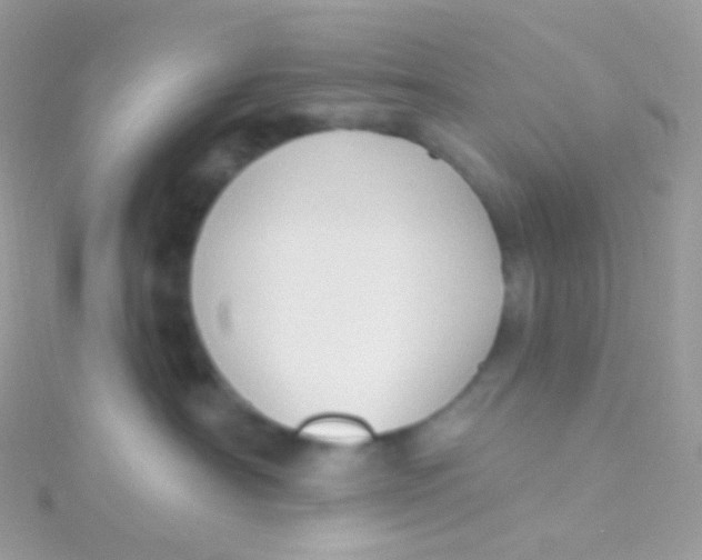 X0000115420430200911241352