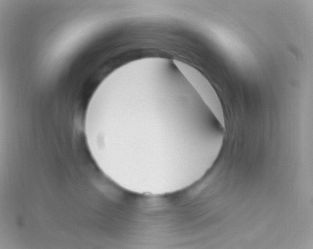 X0000115420431200911241352