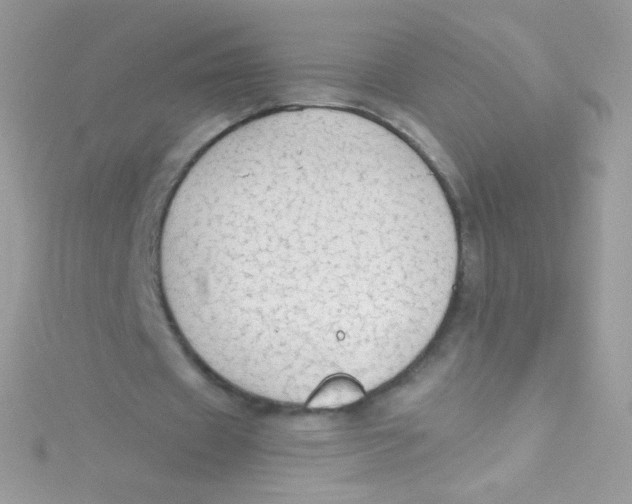 X0000115420433200911241351