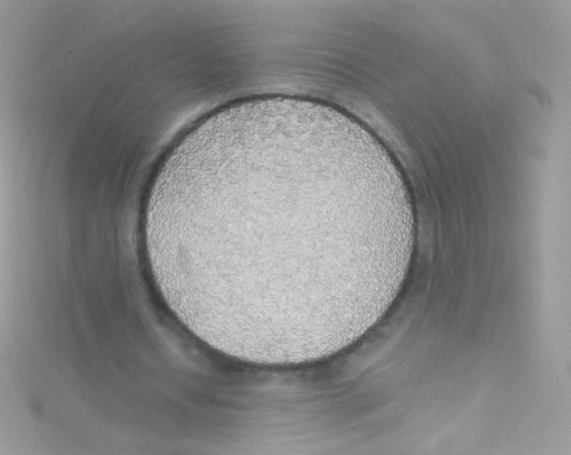 X0000115420434200911241351