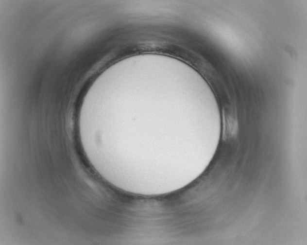 X0000115420435200911241351