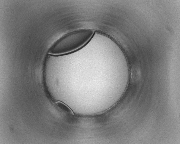 X0000115420436200911241351