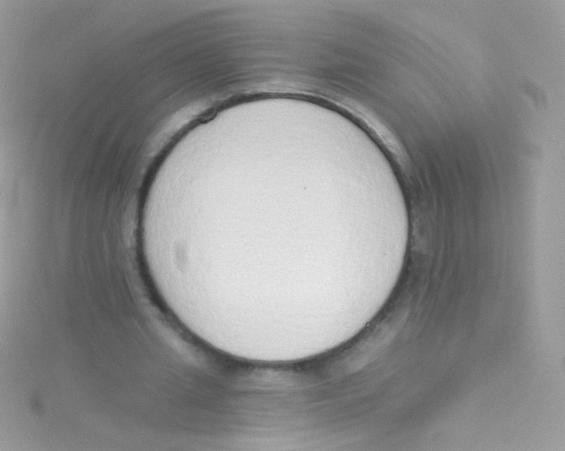 X0000115420437200911241351