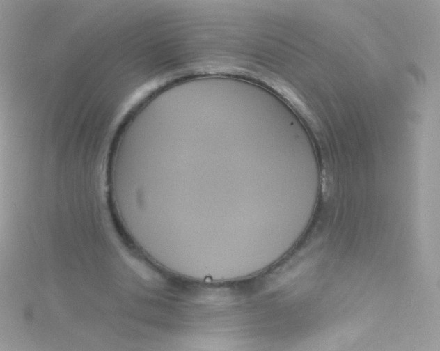 X0000115420438200911241351