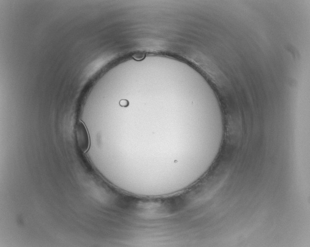 X0000115420440200911241351