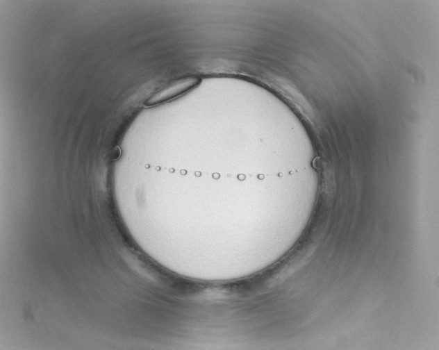 X0000115420441200911241351