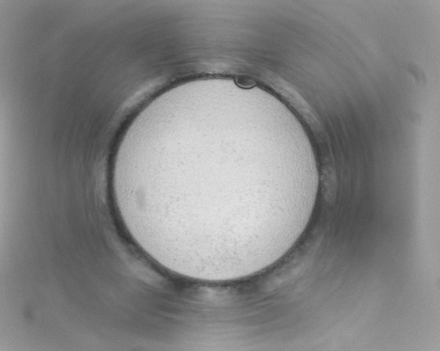 X0000115420442200911241351