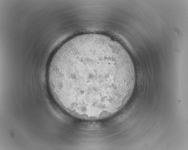 X0000115420443200911241351