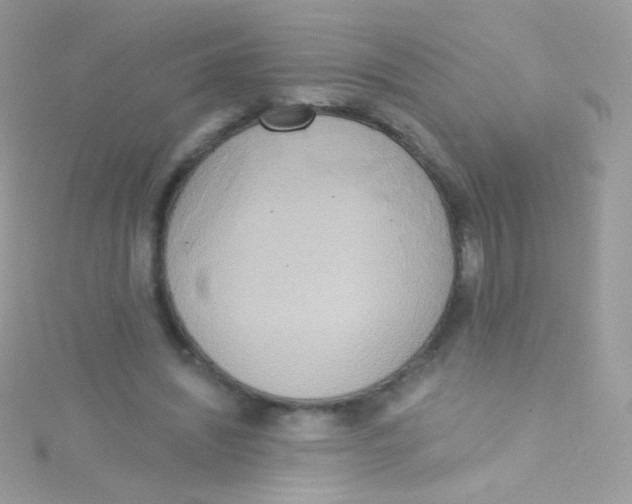 X0000115420444200911241351