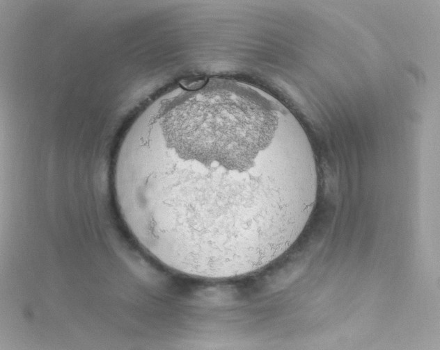 X0000115420447200911241351