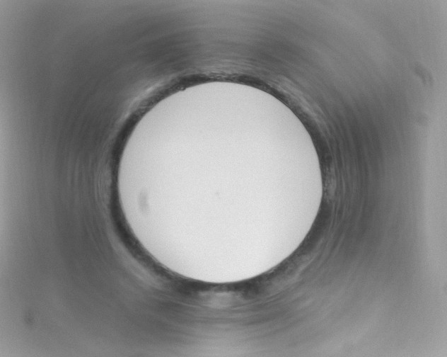 X0000115420448200911241351