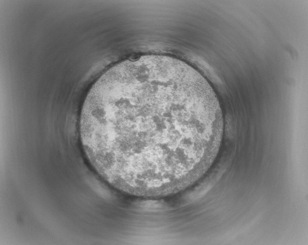 X0000115420449200911241351