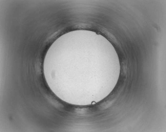 X0000115420450200911241351