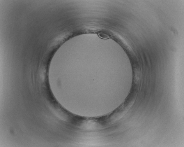 X0000115420451200911241351